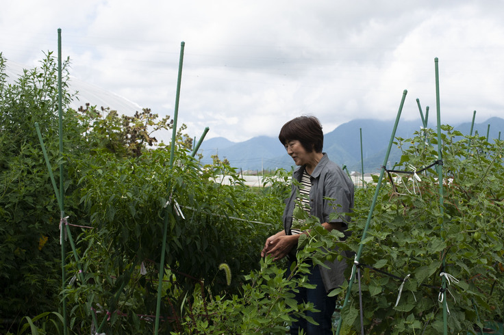 まつもとフィルムコモンズメンバー〜千絵さん〜インタビュー